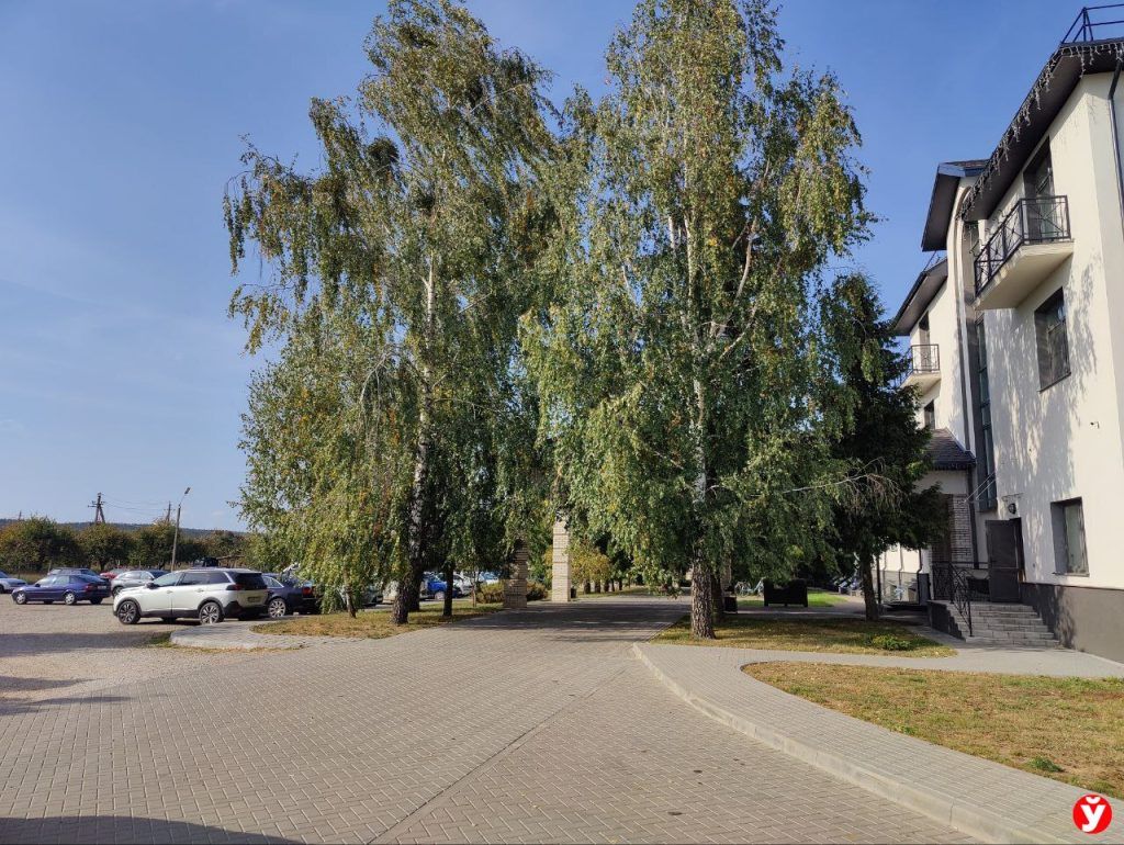 Сергеевичи