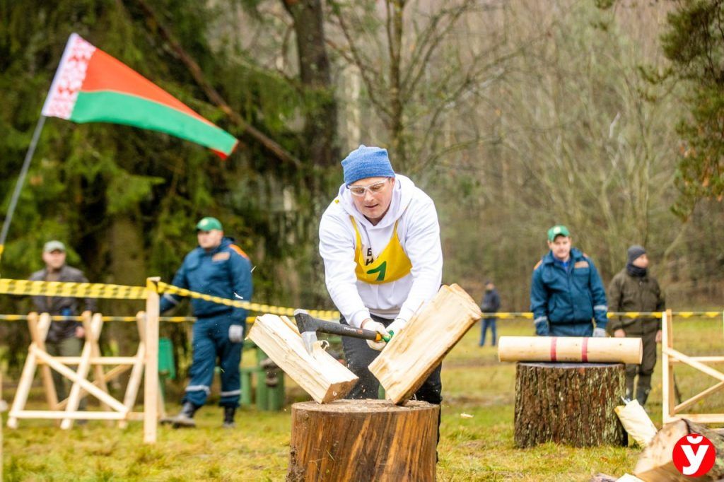 чемпионат дрова