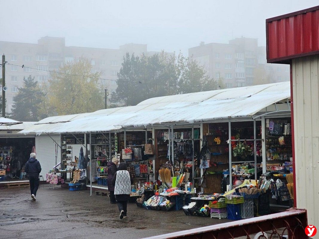 Новости © Управление по образованию Барановичского горисполкома