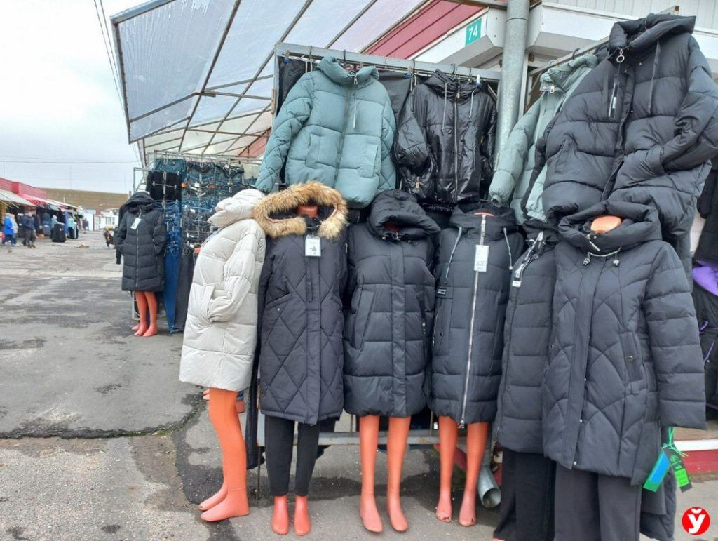 одежда