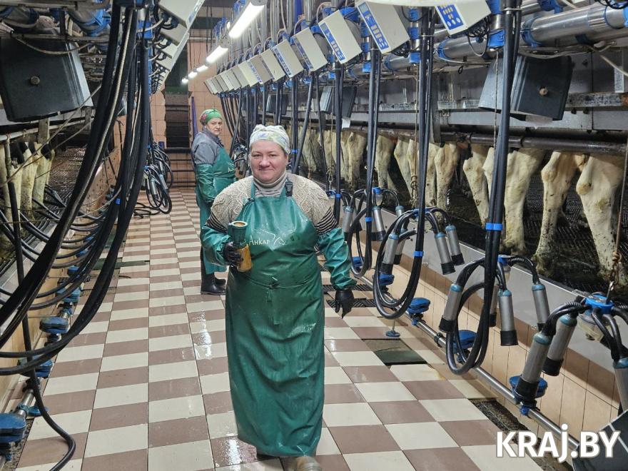 Украинка Молодечненский район