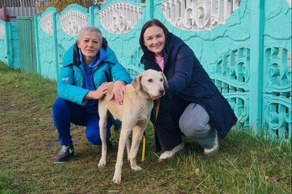 борисовчанка спасла погибающую от голода собаку в Витебской области