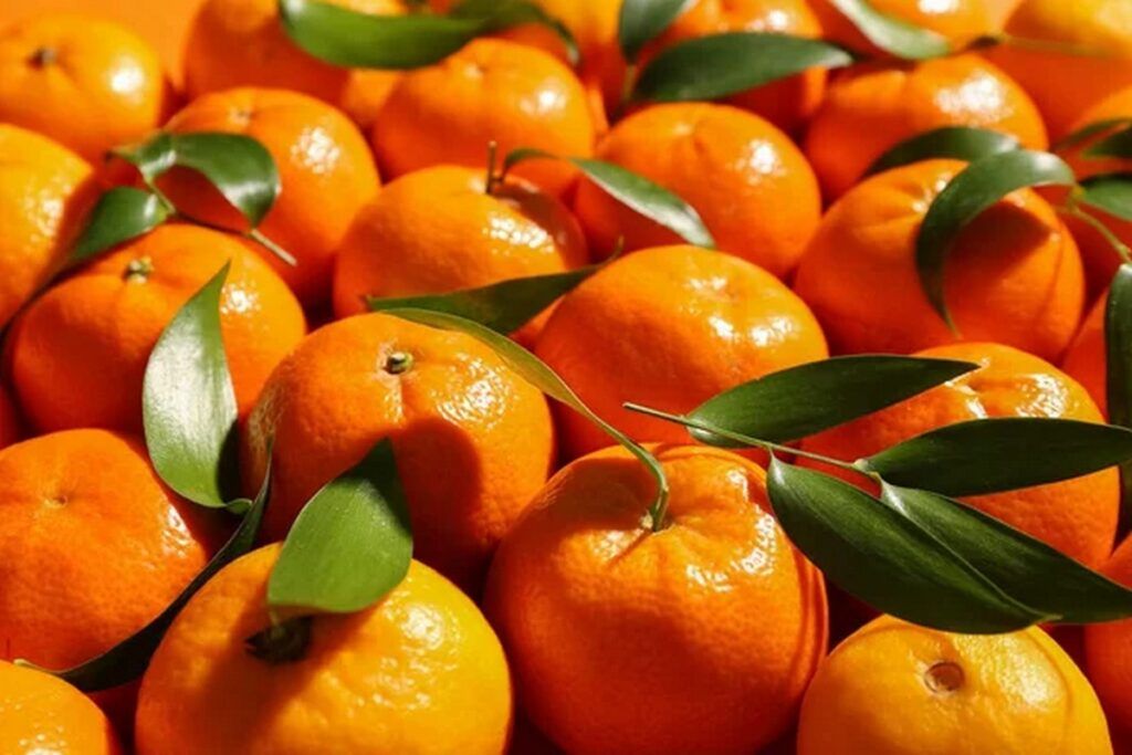 Эндокринолог рассказала, сколько мандаринов можно съедать в день без вреда для здоровья