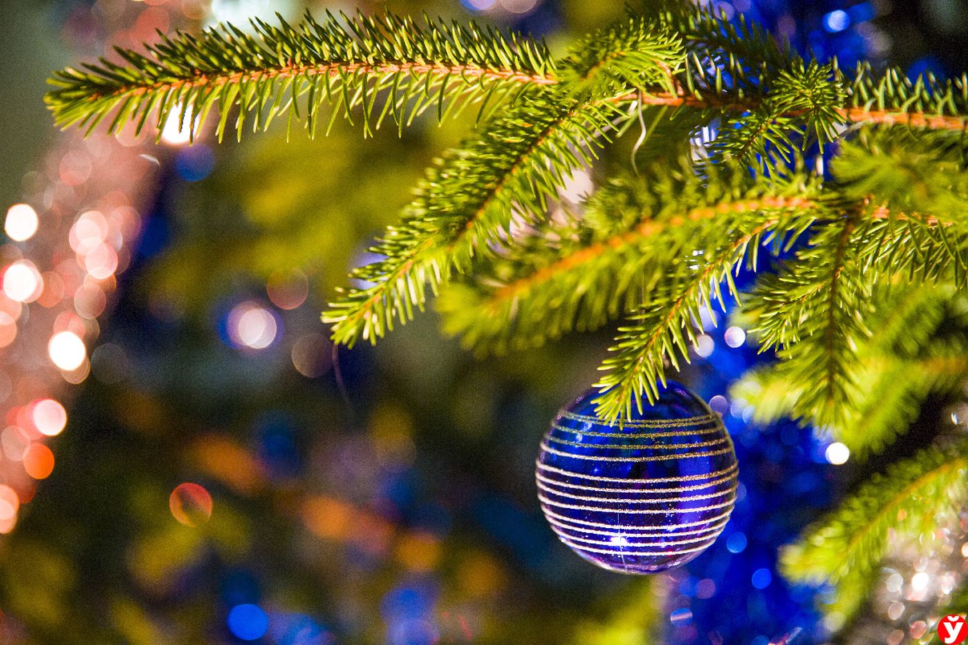 ФОТО ДНЯ: Старый новый год - Минская правда, 13.01.2024