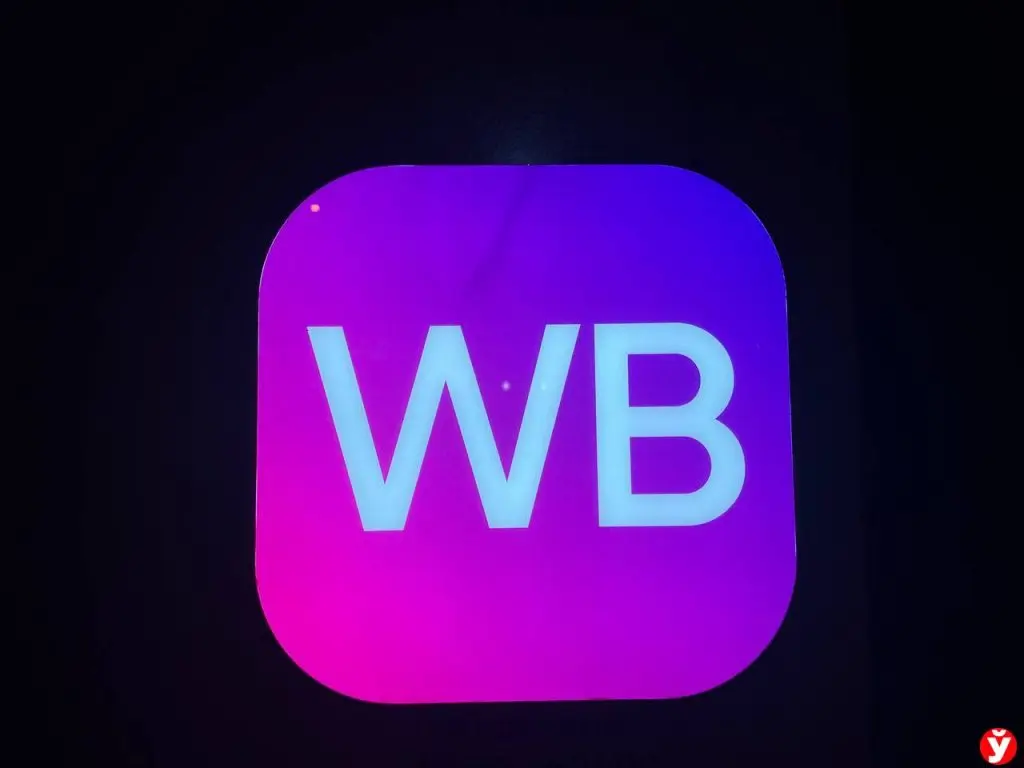 Глава Wildberries: компания выходит на китайский рынок - Минская правда ...