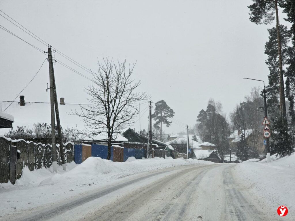 снег борисов