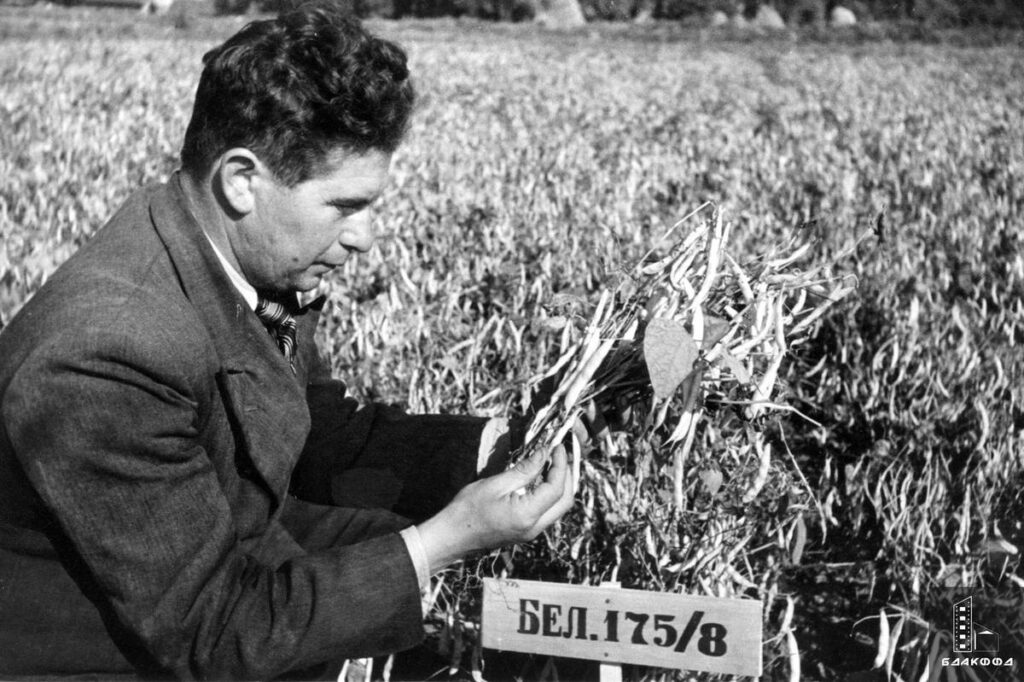 Всегда на острие познания, в авангарде прогресса. Белорусские ученые прошлого в архивных снимках
