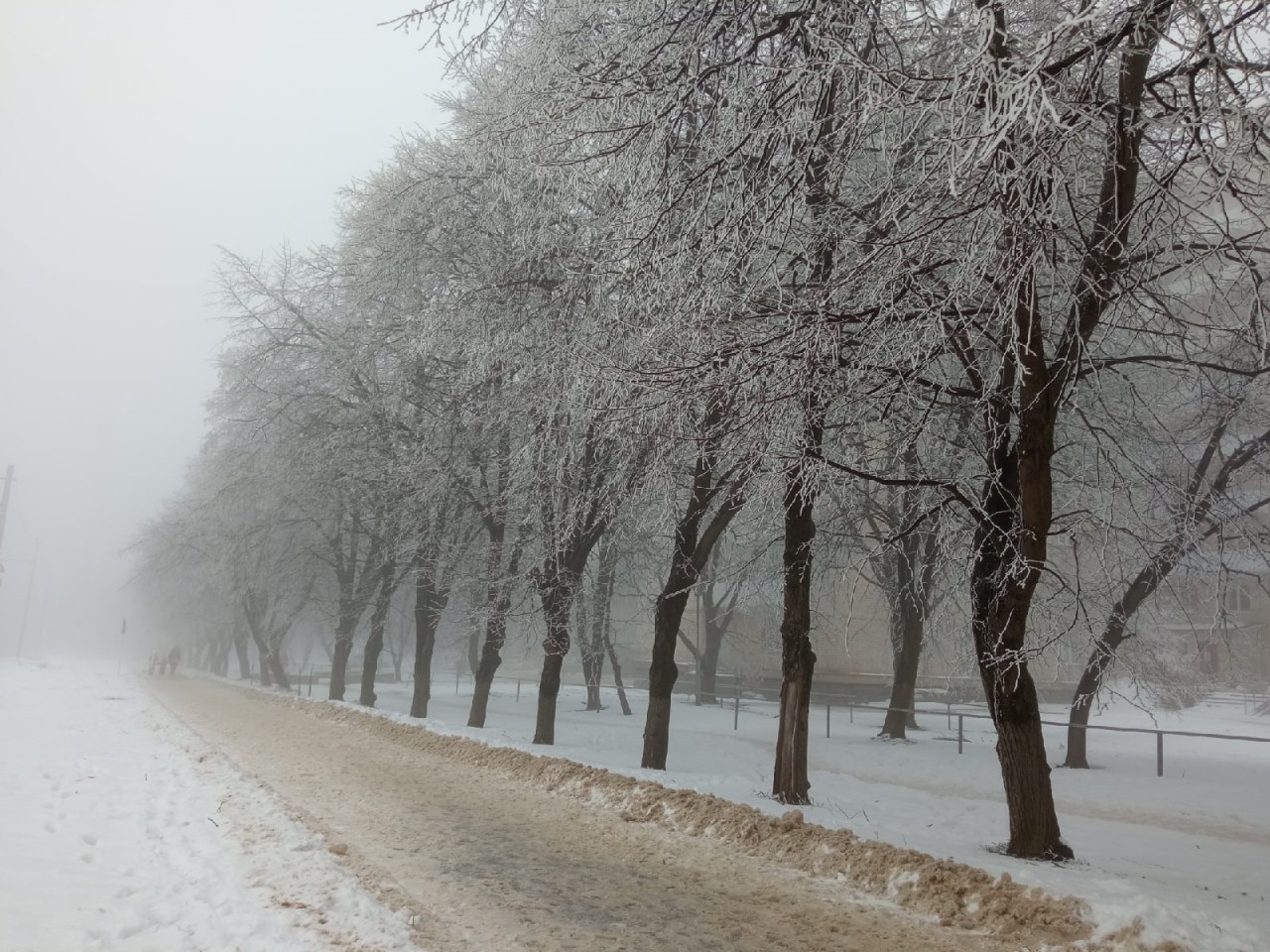 Погода в борисово