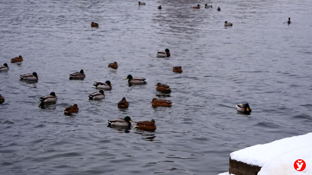 есть даже человек не занимающийся. есть даже человек не занимающийся. цитаты про спорт. единственный человек с которым вы должны. занимайся любимым делом и ты не будешь.