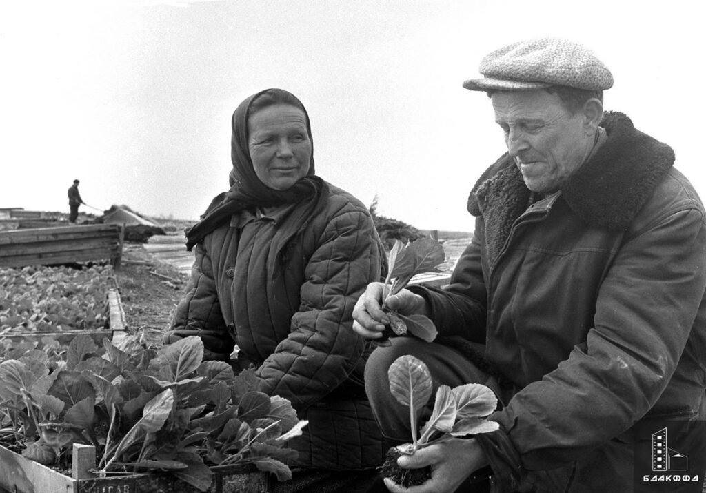Совхоз т. Совхоз т