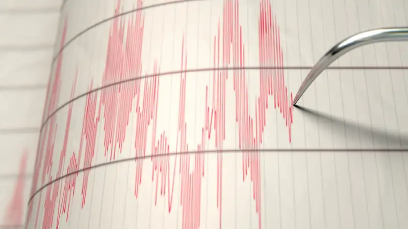 Мощные землетрясения в Японии: угроза цунами и ощутимые толчки в Осаке, Киото и Токио