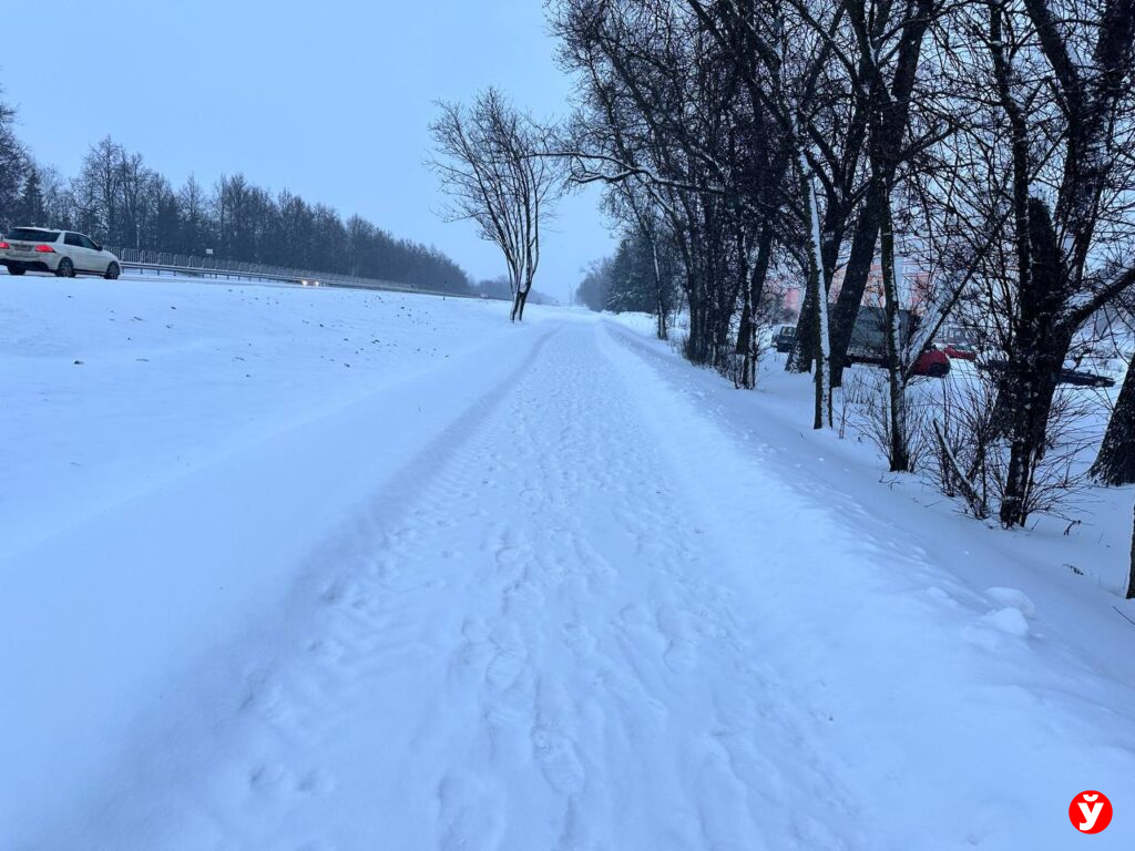 Фаниполь снегопад