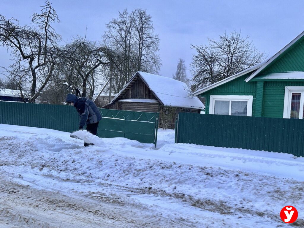 Вилейка снегопад