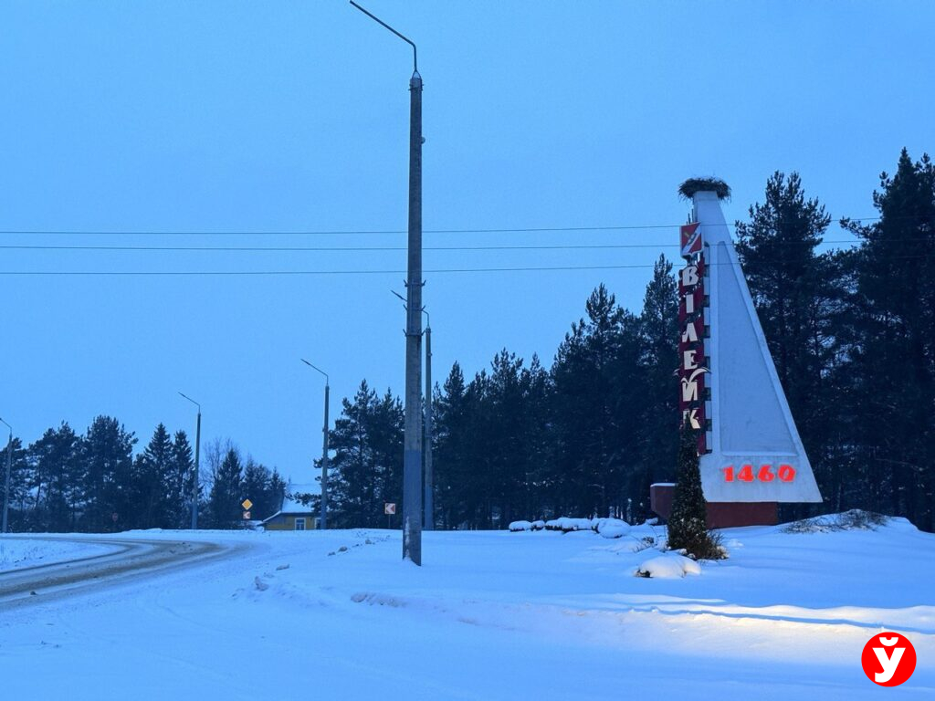 Вилейка снегопад