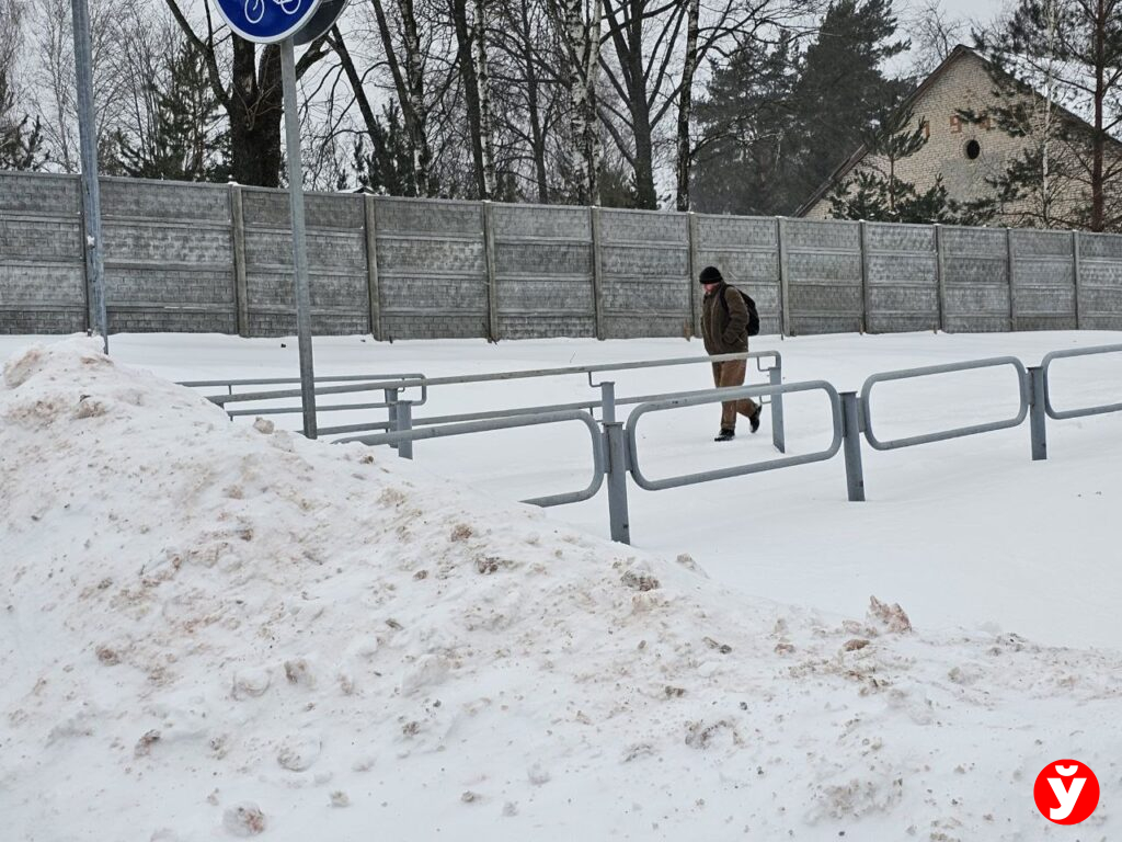 Борисов снегопад