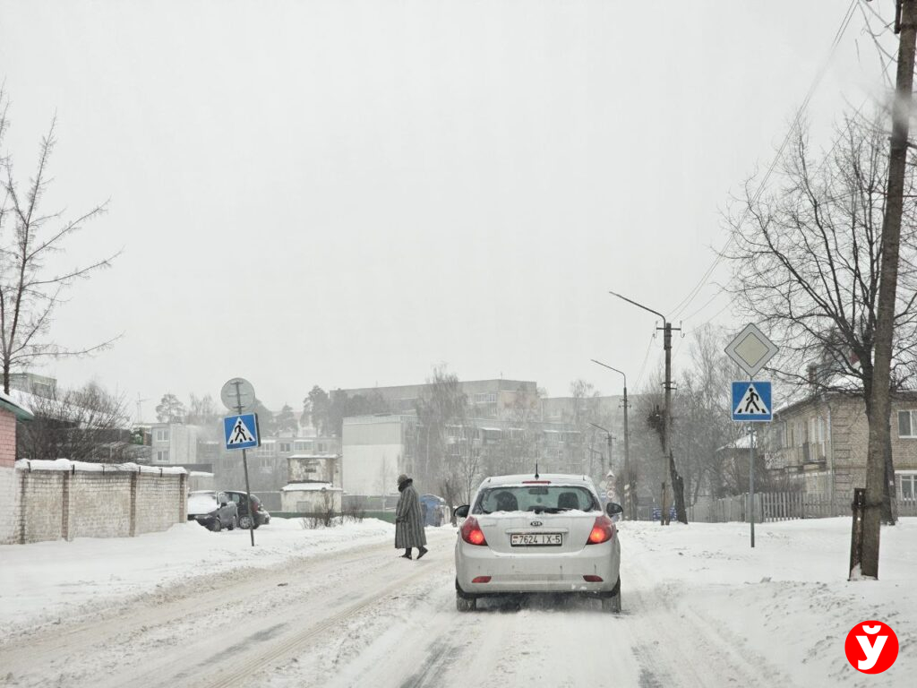 Борисов снегопад