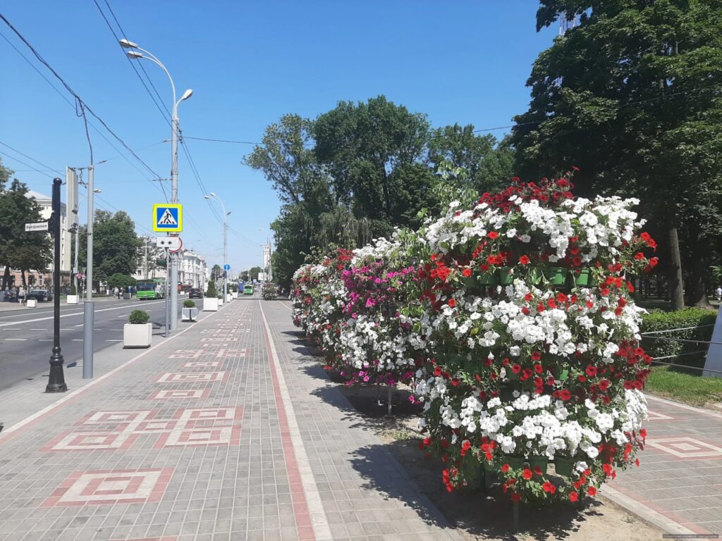 Новые клумбы, вертикальное озеленение — в этом году в Гомеле будет высажено  около полумиллиона цветов - Минская правда