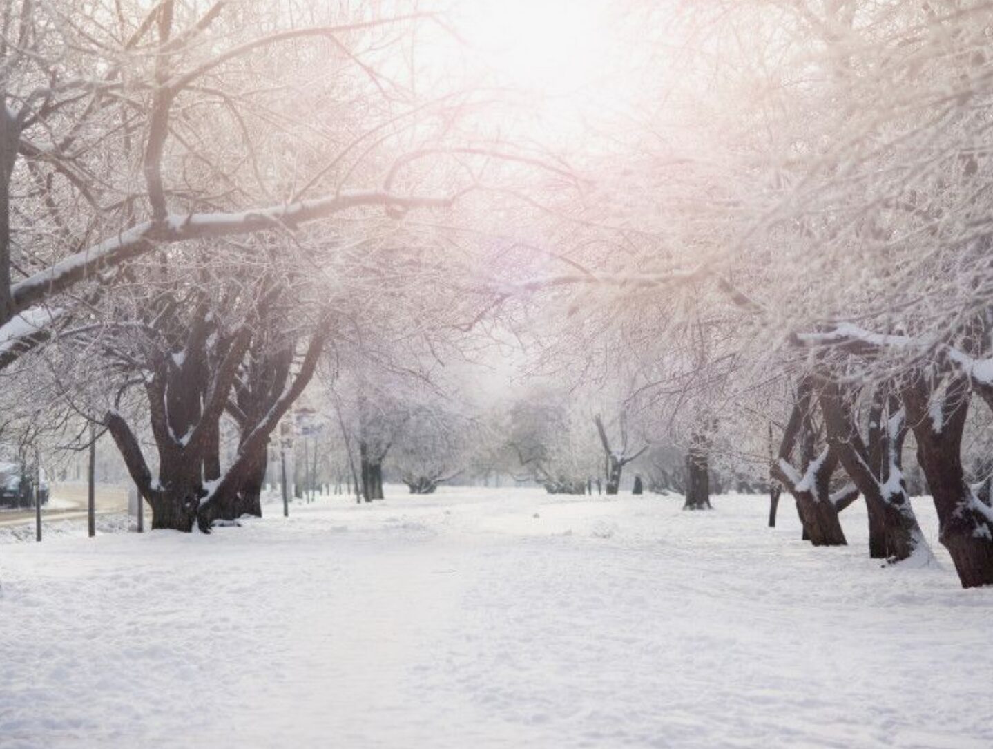 Прогноз погоды рузаевка на 14 дней. Климат тольятти. Погода в мелеузе. Прогноз погоды рузаевка на 14 дней. Погода в ульяновске на 3 дня.