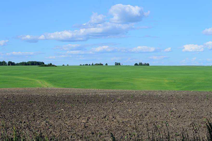 Сельское хозяйство Украина