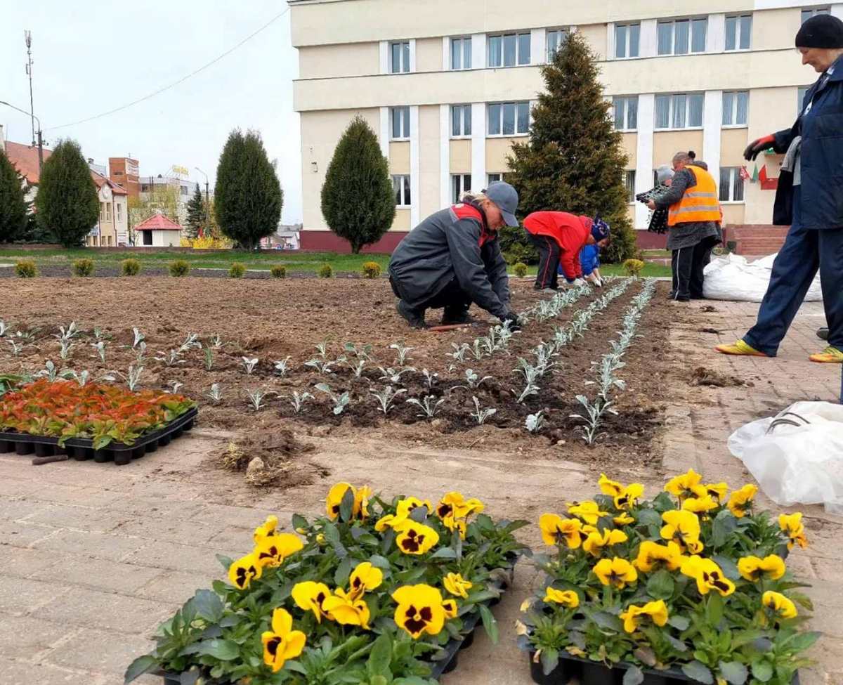 Расцветайте, города-спутники! Как работники Дзержинского ЖКХ делают жизнь  комфортнее - Минская правда