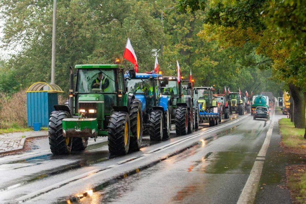 Польские протесты