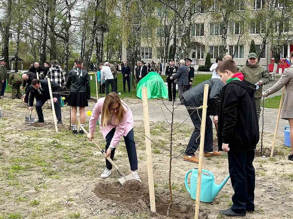 Яблоневый сад Мира и Памяти появился в Брестской области - Минская правда