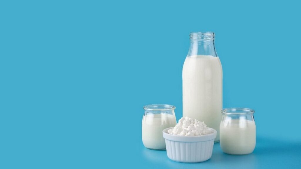 молоко и молочные продукты