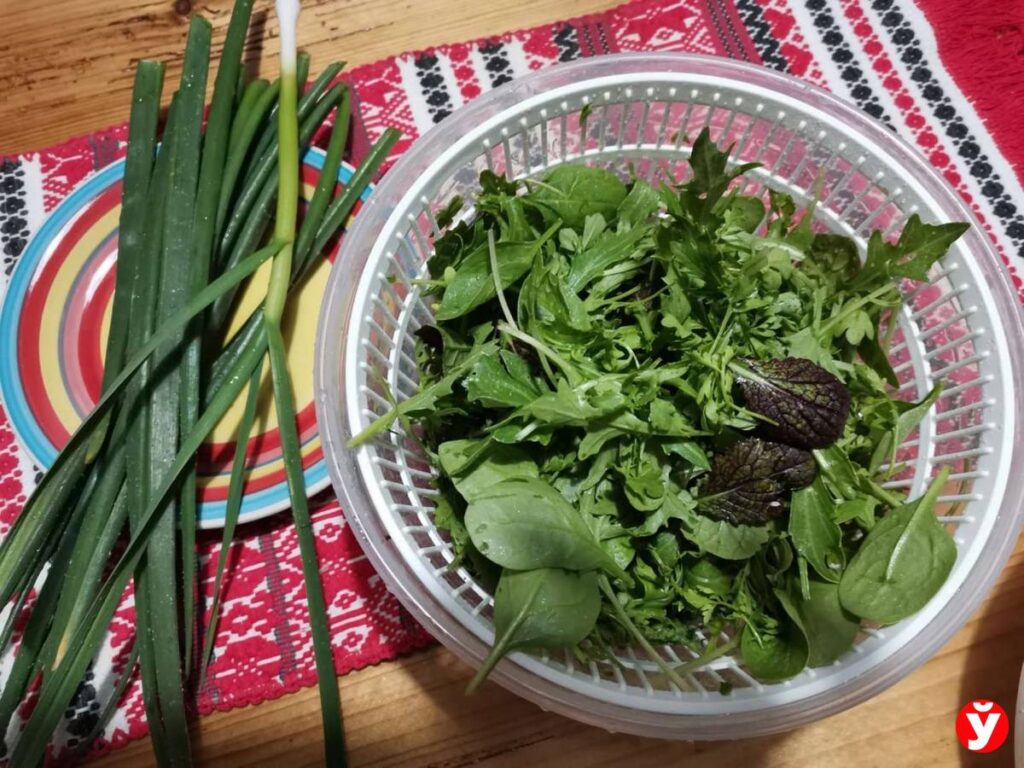 зелень для салата