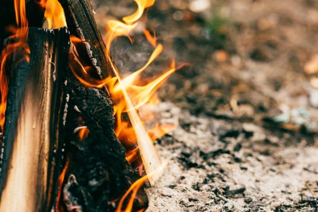 В лесах Беларуси за сутки произошло 5 пожаров