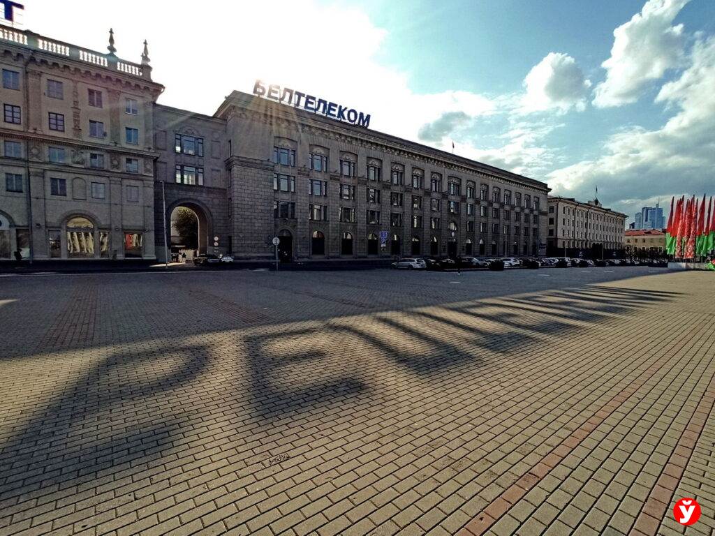 Спасенный в Хабаровском крае тигренок Бархат приехал в Минский зоопарк -  Минская правда