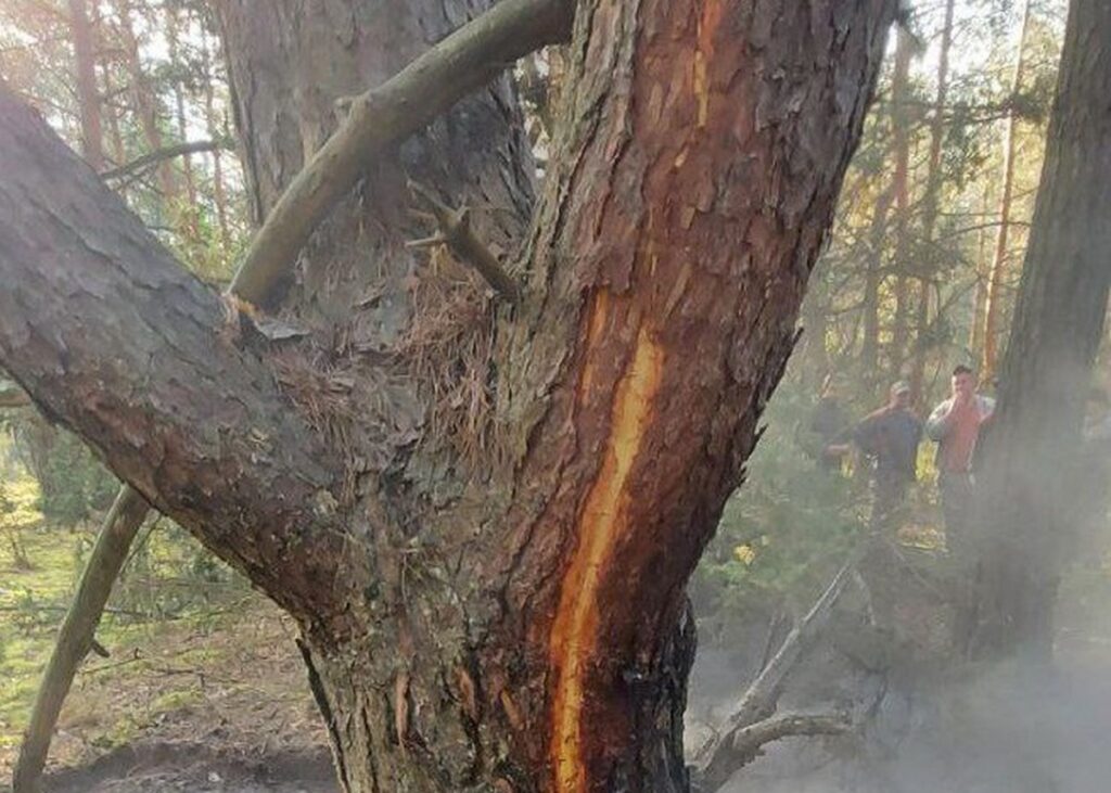 В Беларуси произошли два пожара из-за удара молнии