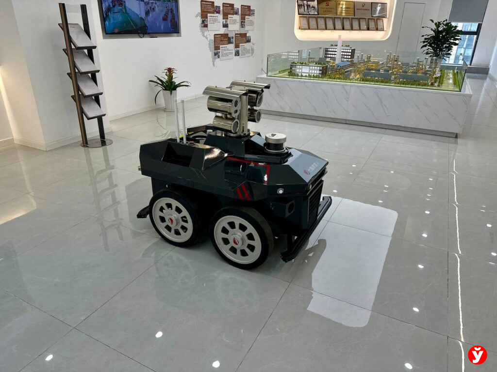 Турчин и роботы в Китае