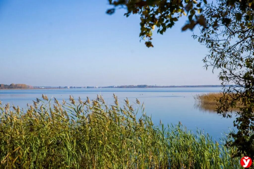В Беларуси в 2023 году более 1 млрд рублей пошло на охрану окружающей среды