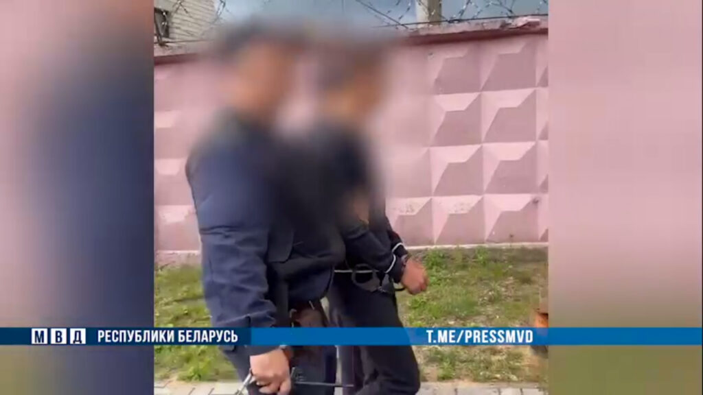 в Могилевской области задержан педофил