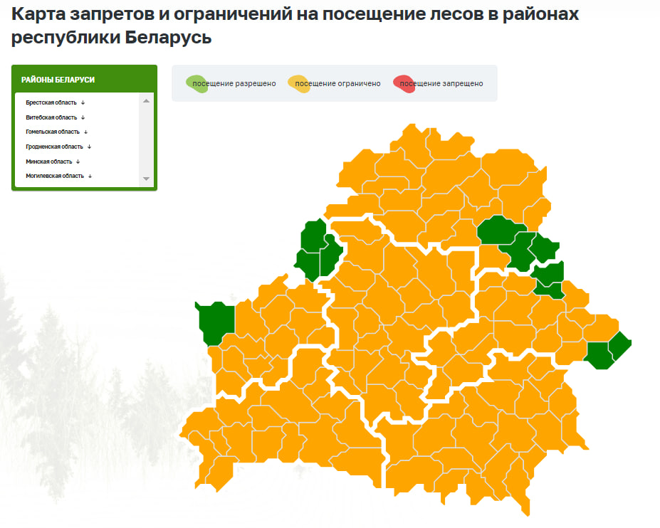 ограничения в лесах