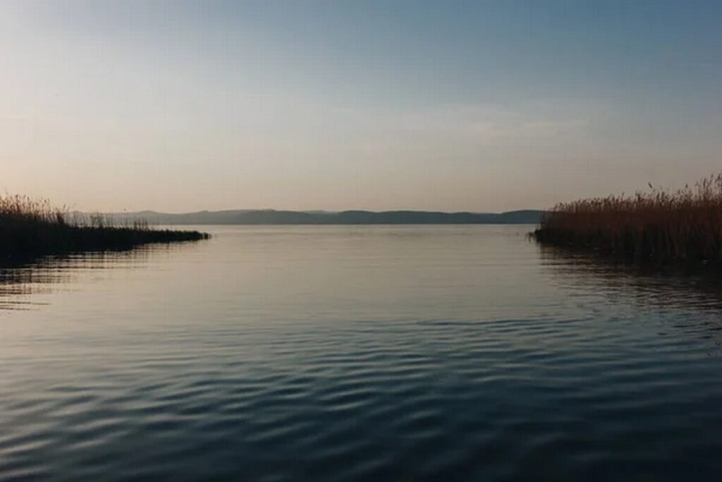 Утонуло 15 детей с начала сезона. Возможно ли предотвратить трагедии на воде?