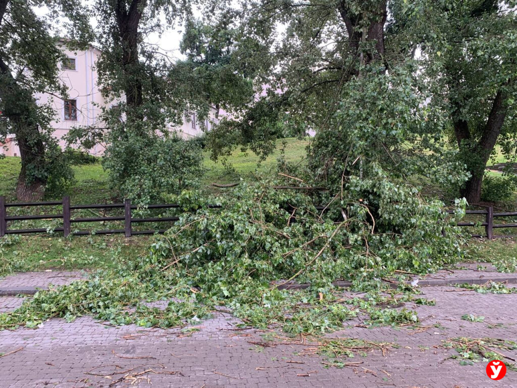 Когда ликвидируют последствия урагана в Беларуси, рассказали власти