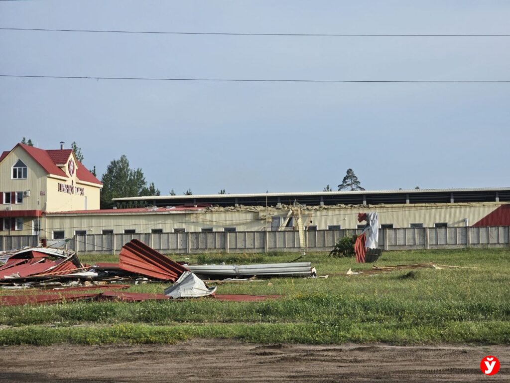 Непогода Борисов