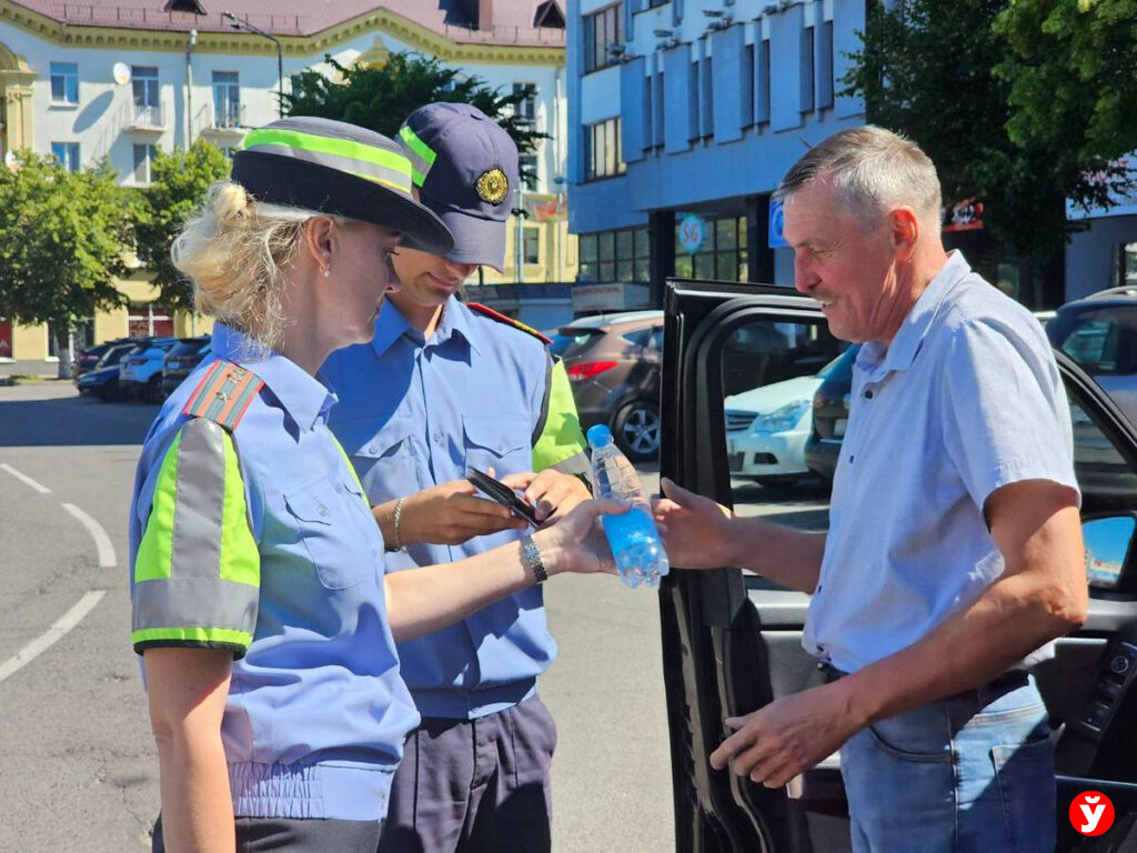 акция ГАИ в Борисове