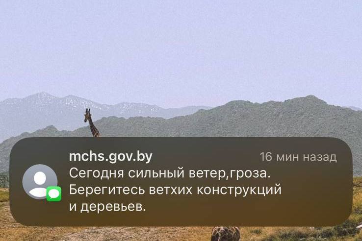 СМС от МЧС
