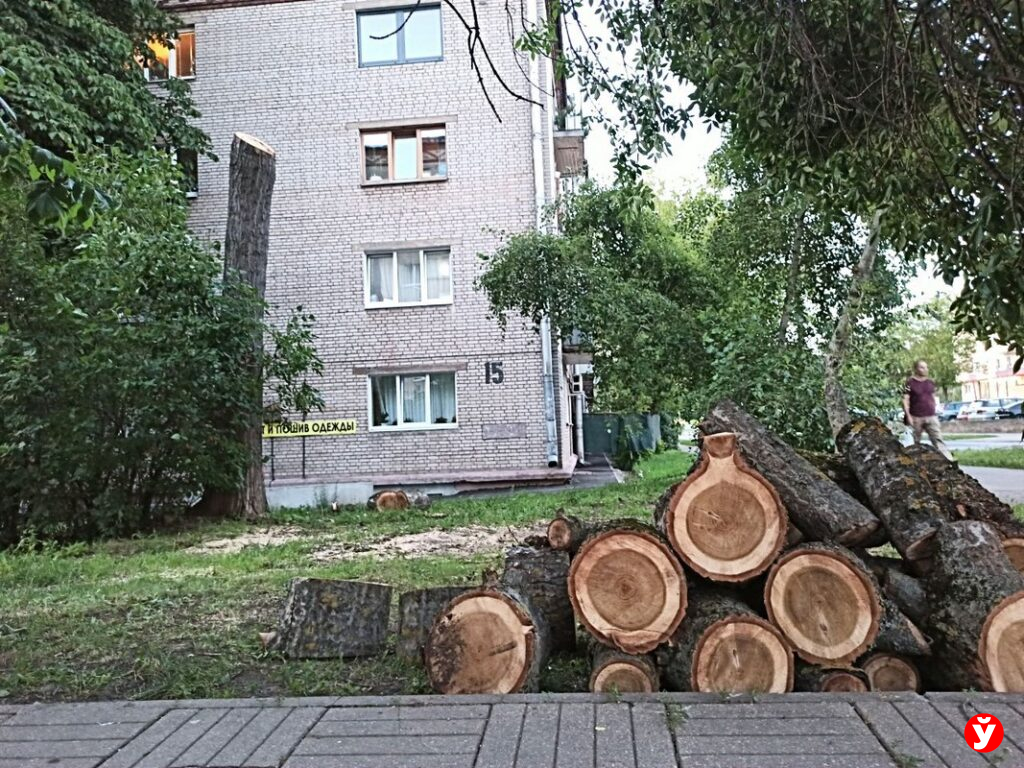 Шторм застал на пляже. Что делать?