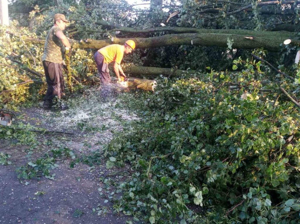 Фотофакт. Последствия грозового фронта устраняют в Крупском районе