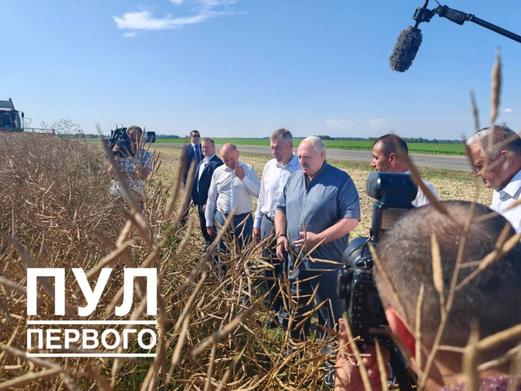 Лукашенко призвал аграриев минимизировать возможные потери в ходе уборочной