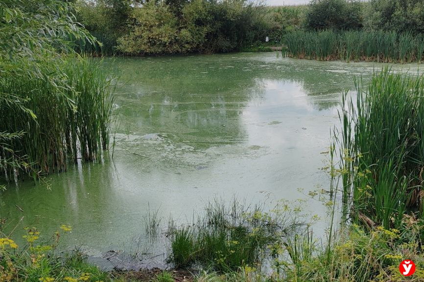 Слуцк водоем