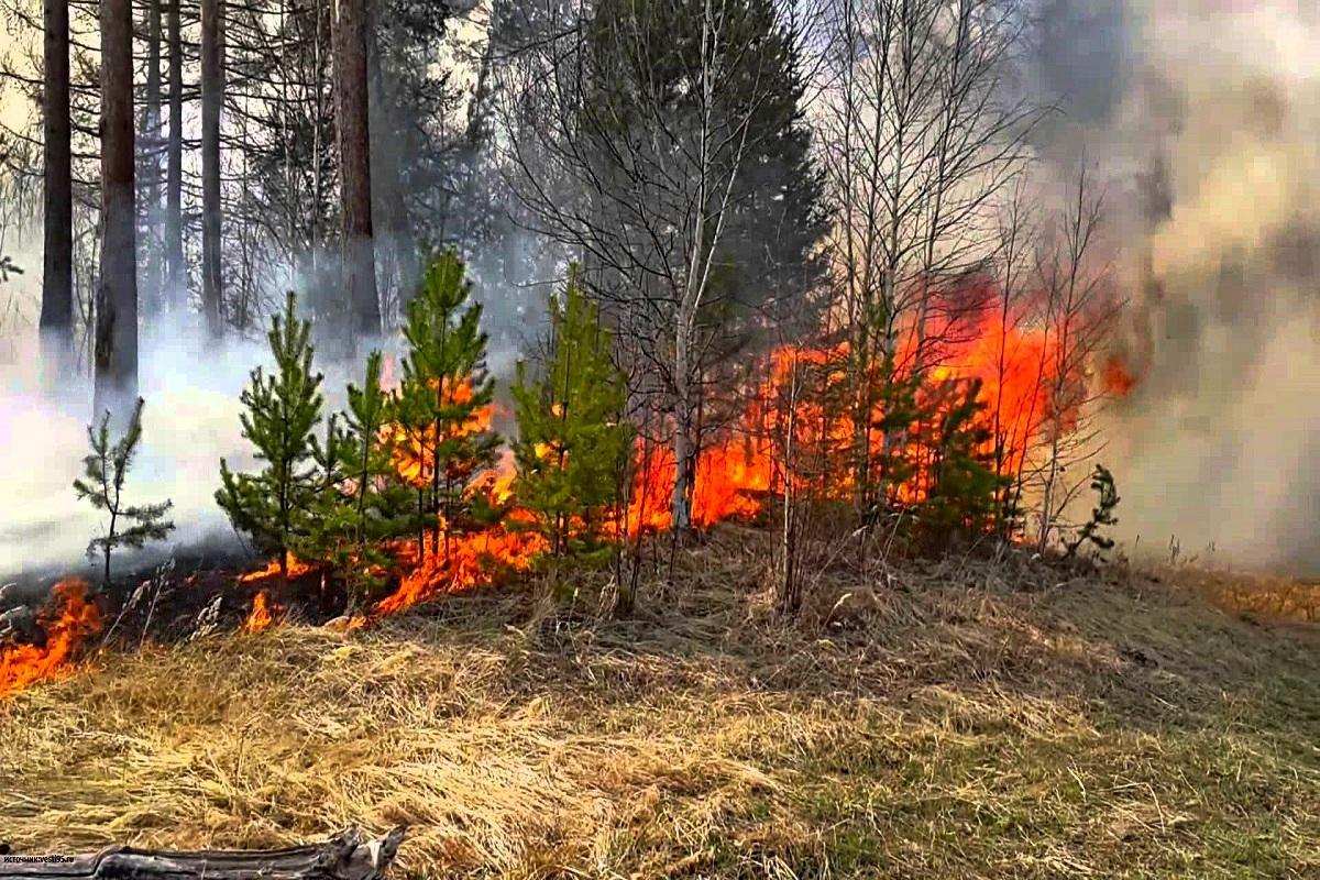 В Минской области зарегистрировано 4 пожара за сутки