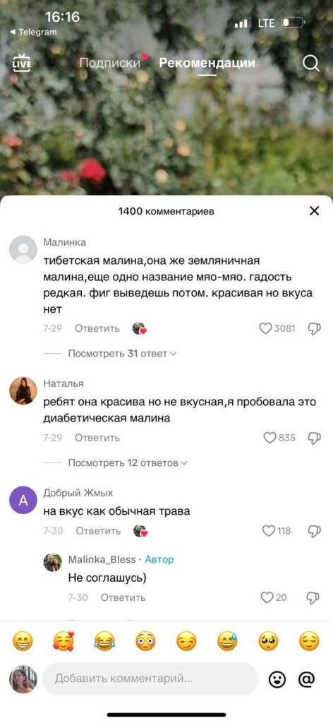 Малина размером с ладонь: шок-контент белорусского TikTok