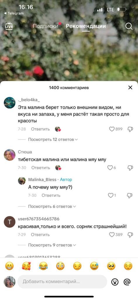 Малина размером с ладонь: шок-контент белорусского TikTok