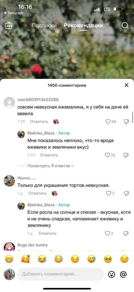 Малина размером с ладонь: шок-контент белорусского TikTok