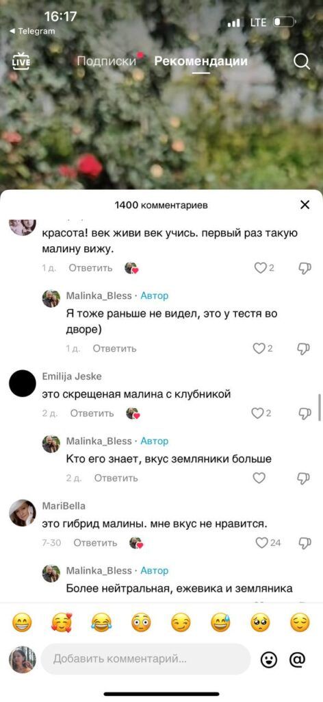 Малина размером с ладонь: шок-контент белорусского TikTok