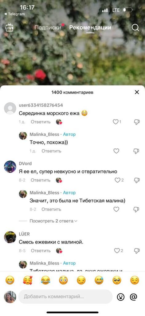 Малина размером с ладонь: шок-контент белорусского TikTok